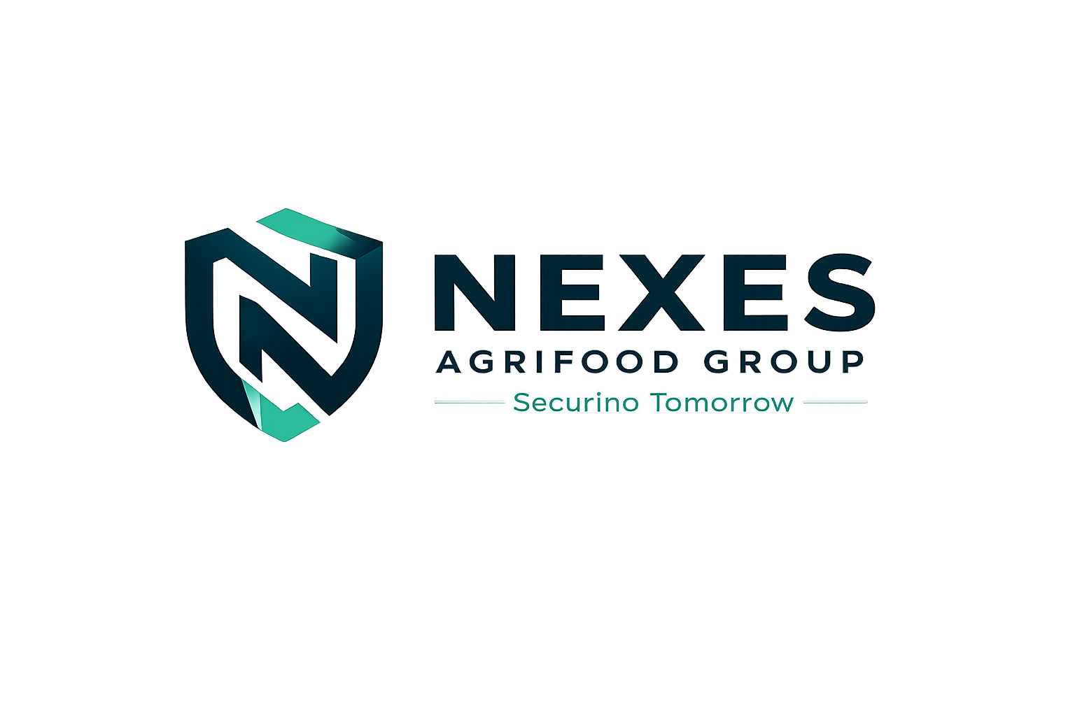 NEXES (M) SDN. BHD. logo